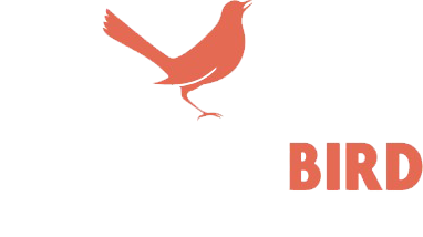 Mockingbird Performing Arts